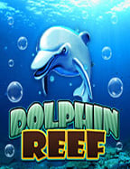 เกม ไพ่ แค ง ดั ม มี่ ทดลองเล่น สุดสนุกที่ไม่ควรพลาด